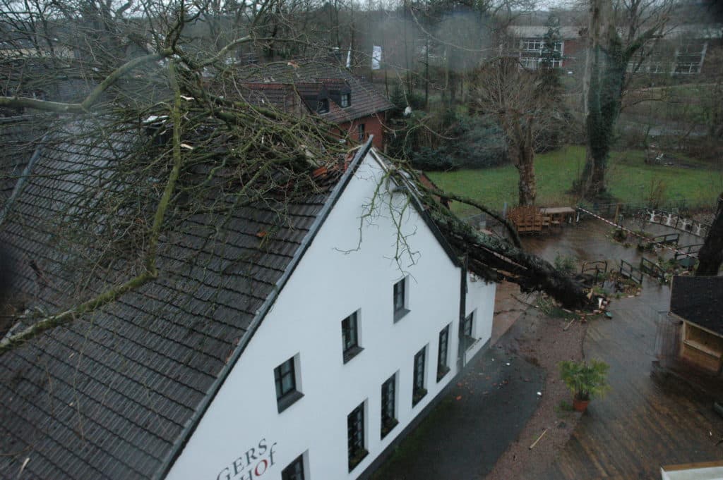 Baum auf Restaurant „Brügershof“ in Ratingen-Lintorf: Der Baum wurde mit Hilfe eines 100 -Tonnen Kranes aufwendig aus dem Dachstuhl gehoben. (Foto: Feuerwehr Ratingen)